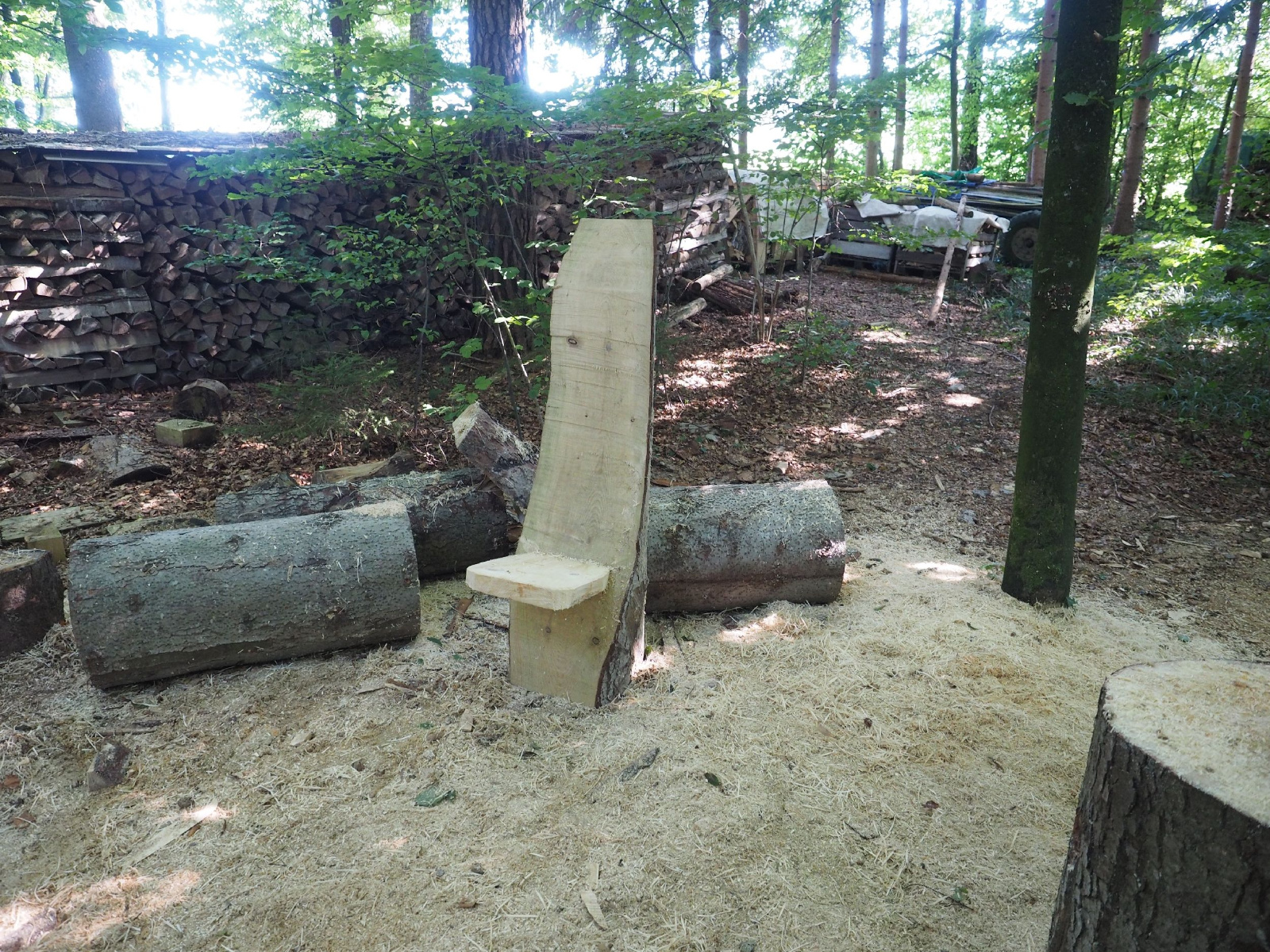 Sitzender baer 63 20160911 1683029352