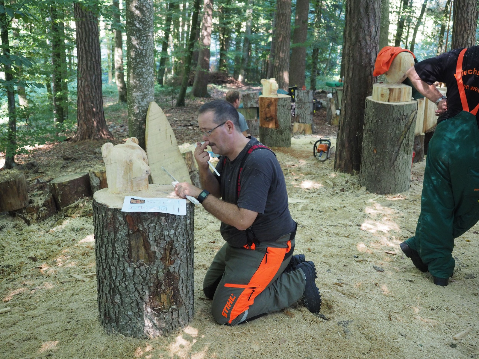 Sitzender baer 64 20160911 1730024160