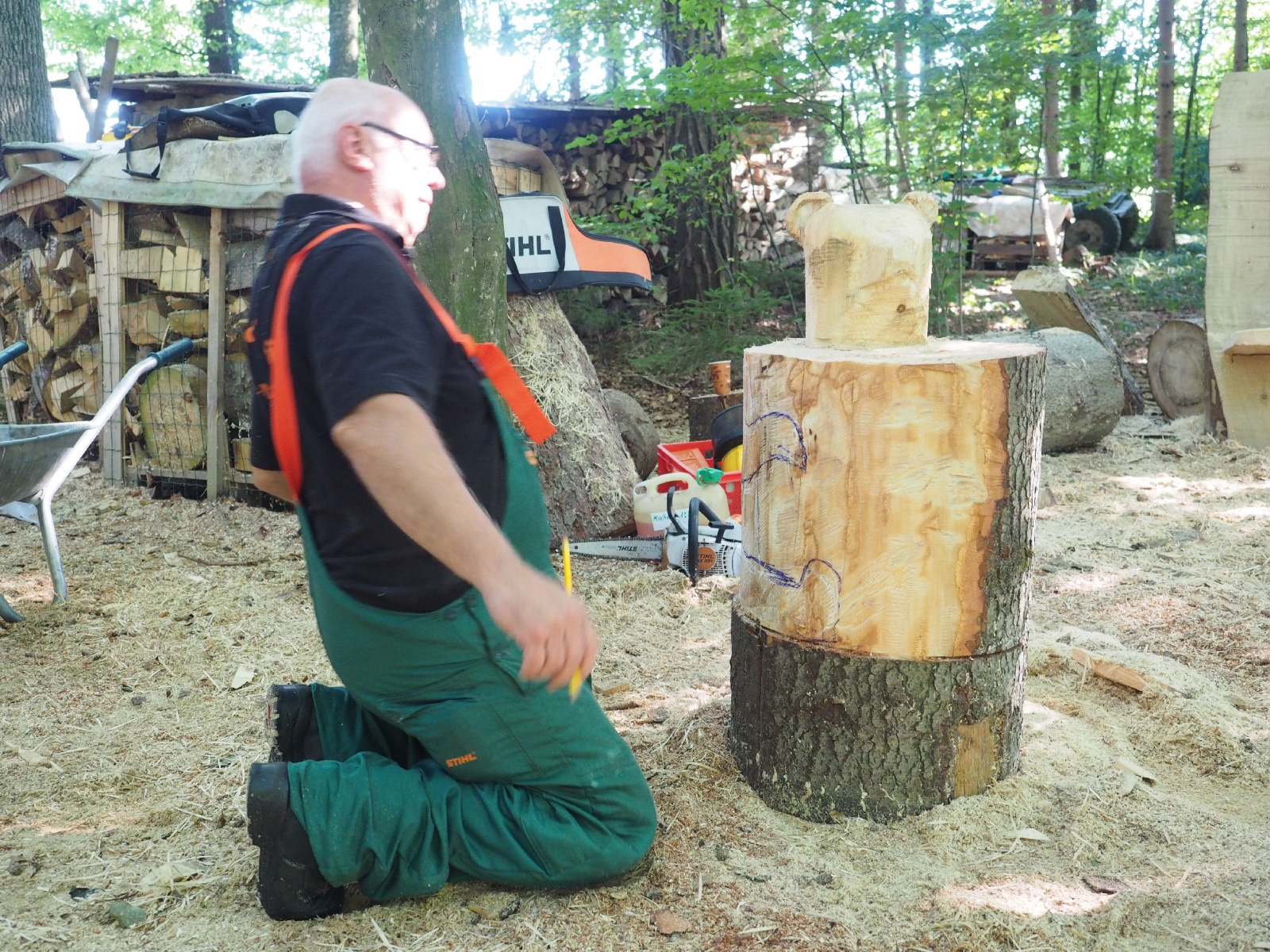 Sitzender baer 67 20160911 1153941162