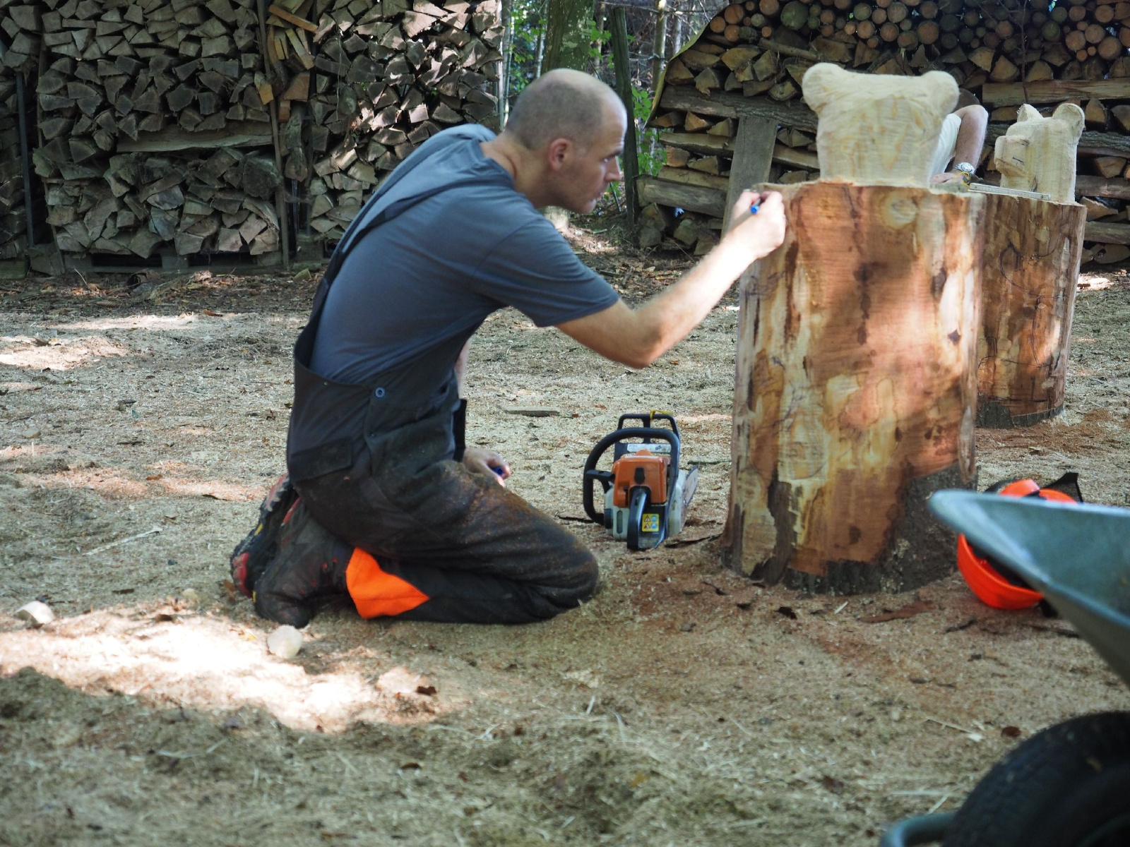 Sitzender baer 68 20160911 1493396201