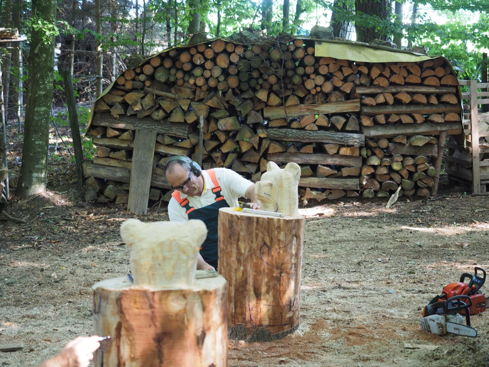 Sitzender baer 69 20160911 1923789366