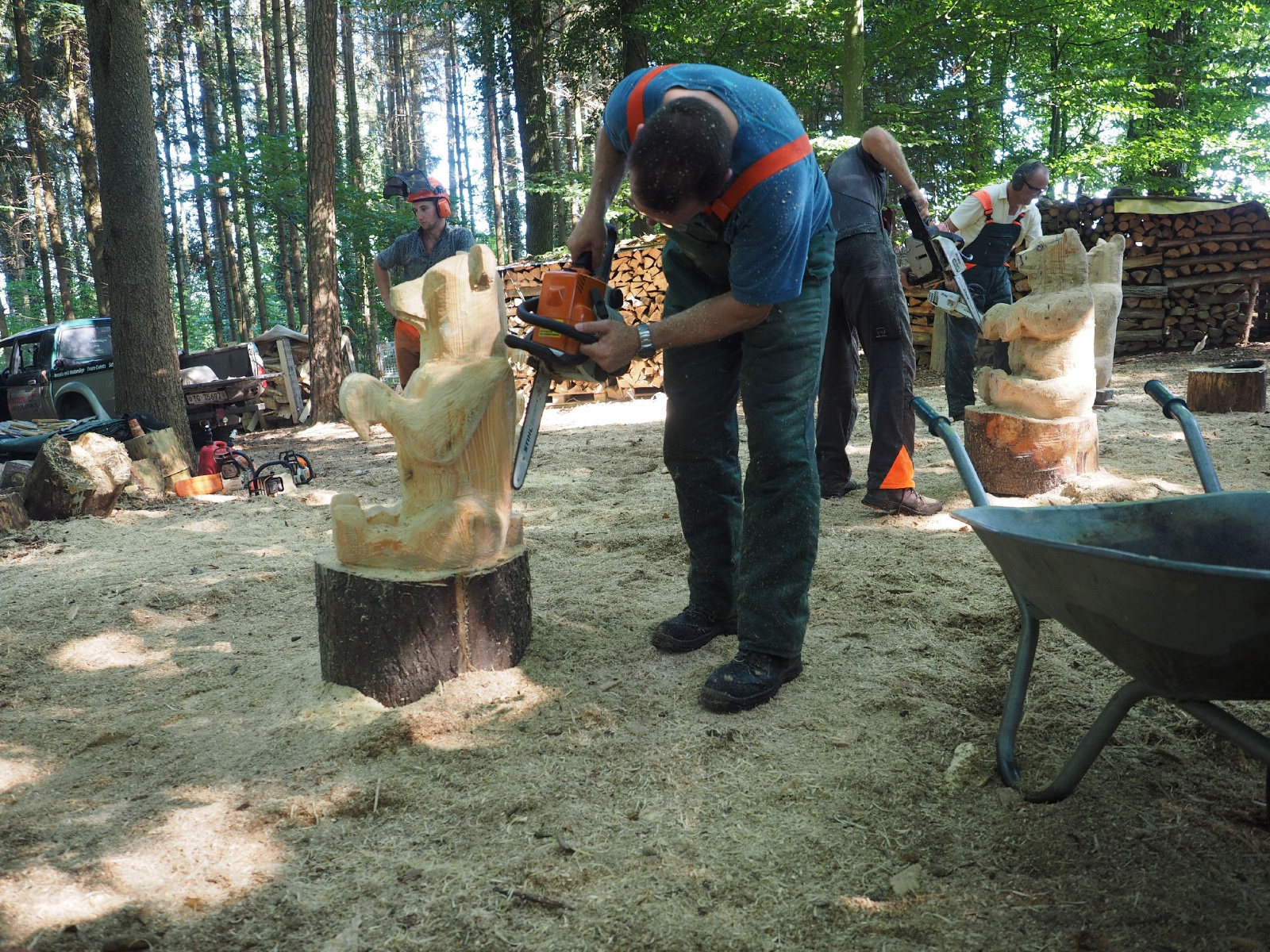 Sitzender baer 6 20160911 1071764426