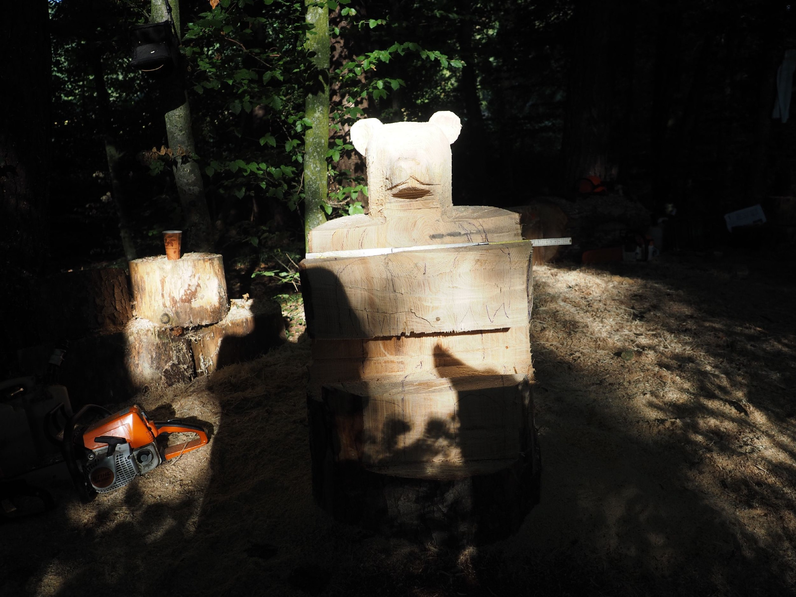 Sitzender baer 70 20160911 1485440473