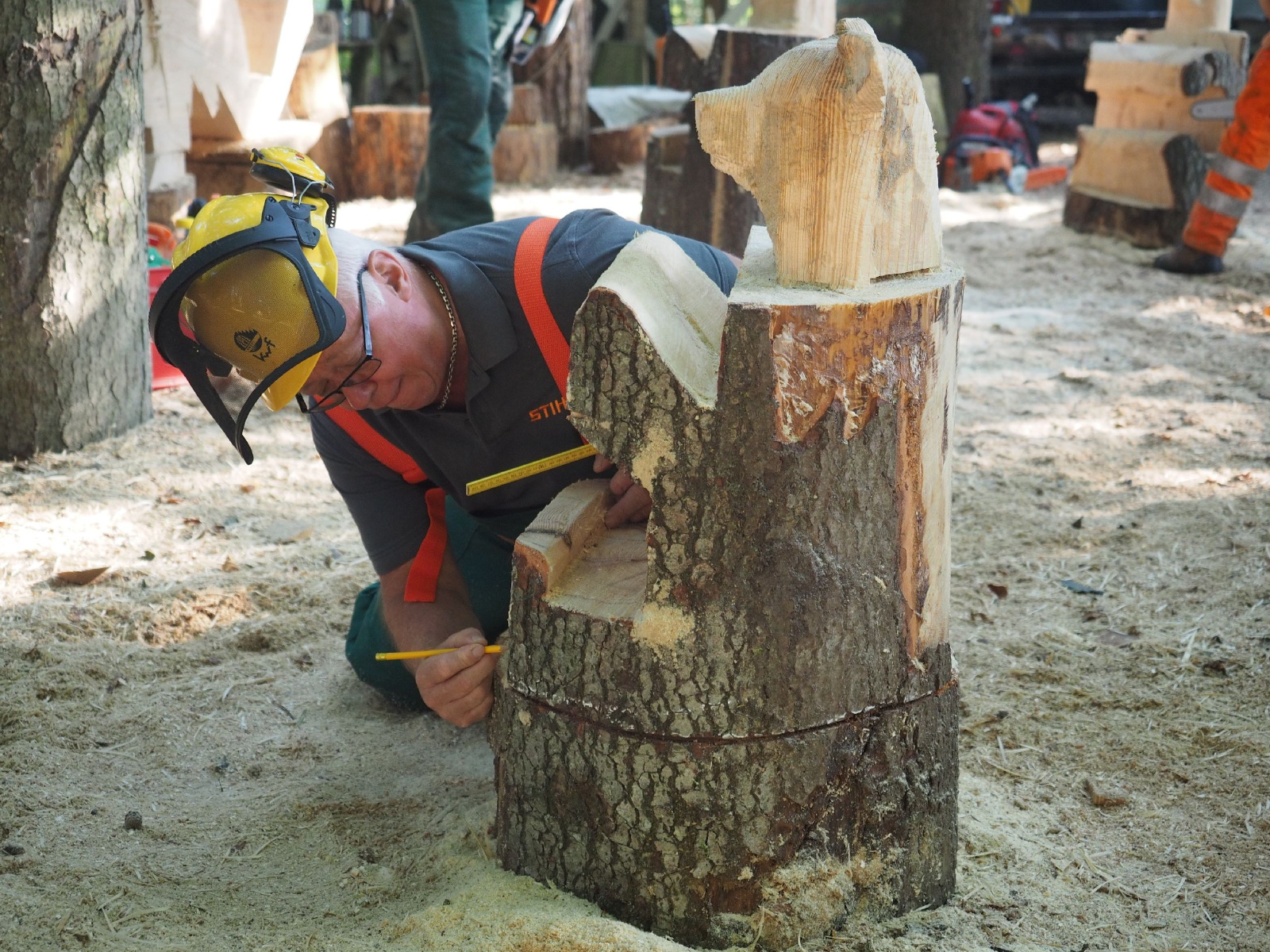 Sitzender baer 71 20160911 1398856506