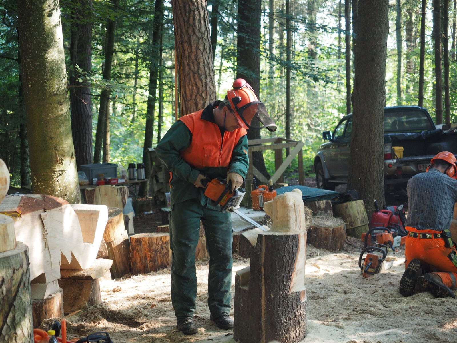 Sitzender baer 72 20160911 1712892866