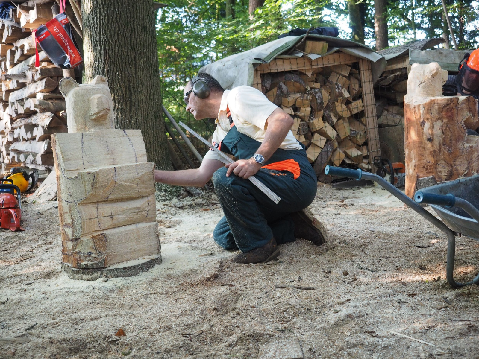 Sitzender baer 74 20160911 1838122996