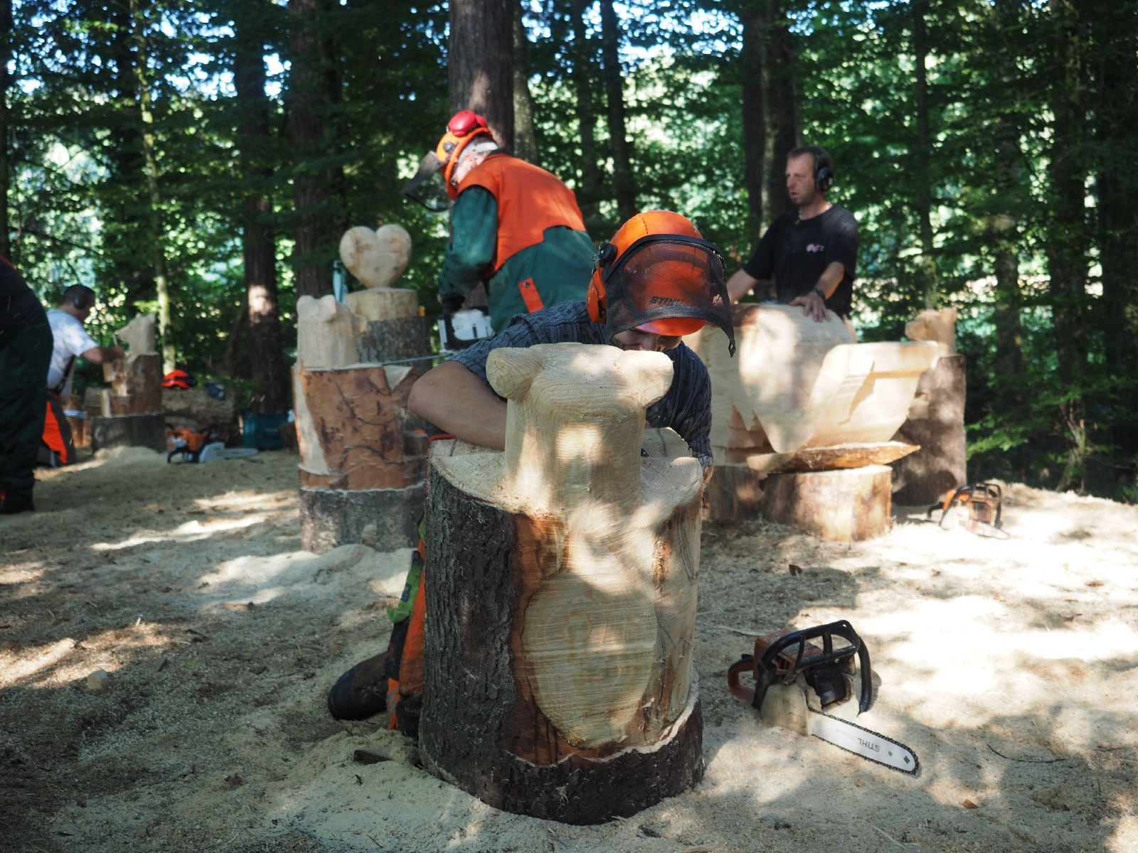 Sitzender baer 75 20160911 1516988313