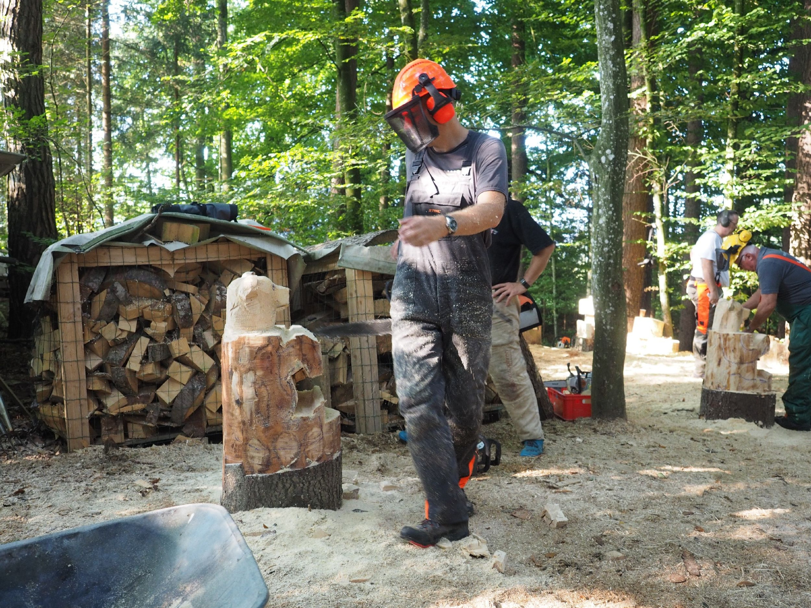 Sitzender baer 76 20160911 1852731128