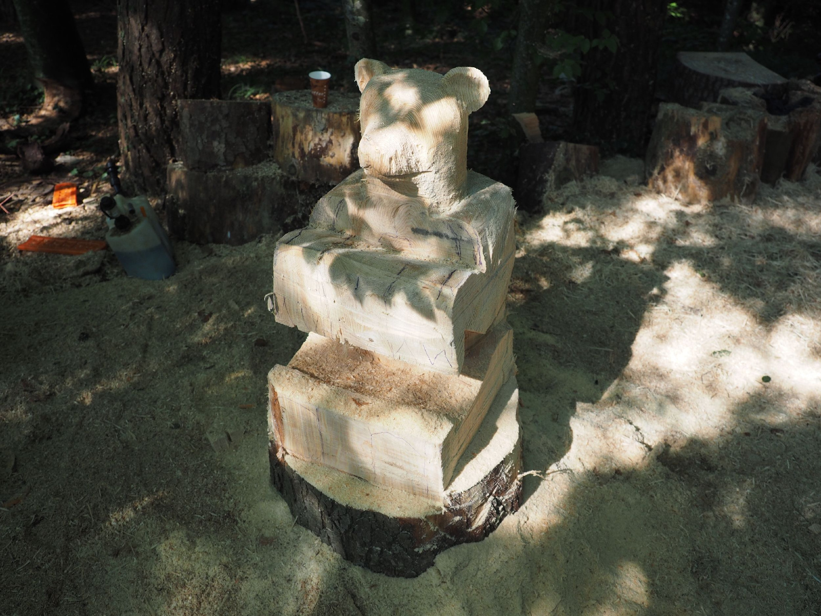 Sitzender baer 77 20160911 1560684748