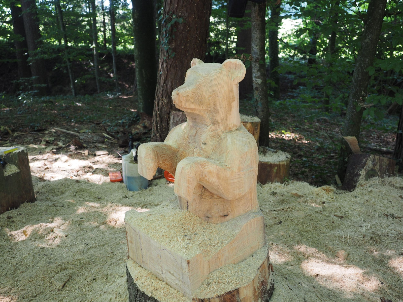 Sitzender baer 78 20160911 1583966344