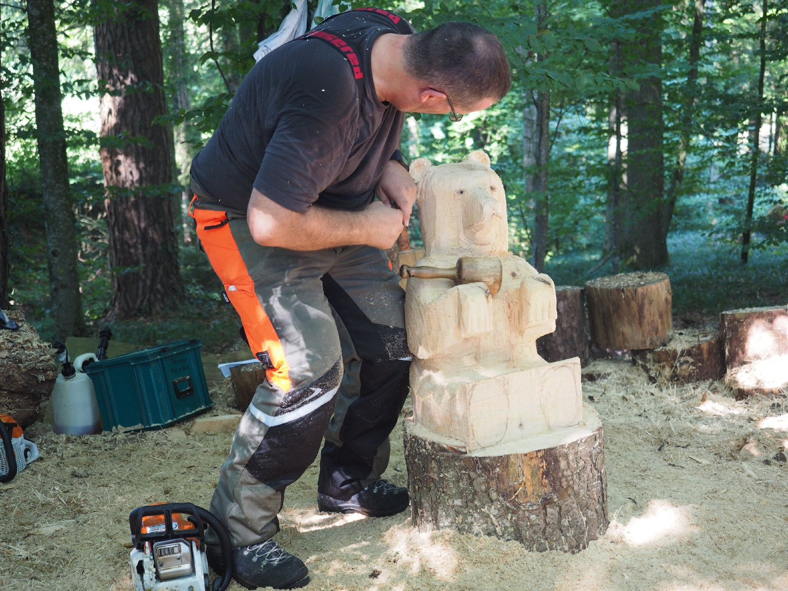 Sitzender baer 79 20160911 1258617176