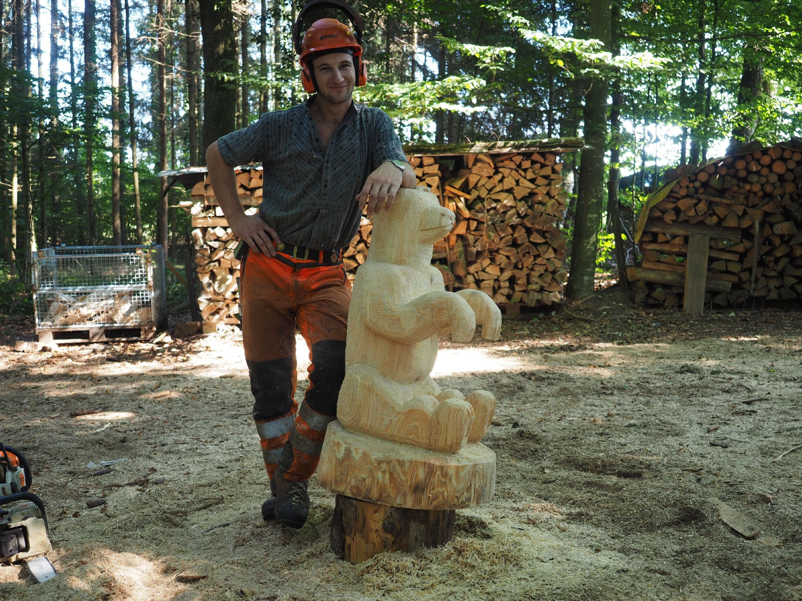 Sitzender baer 7 20160911 1508048428