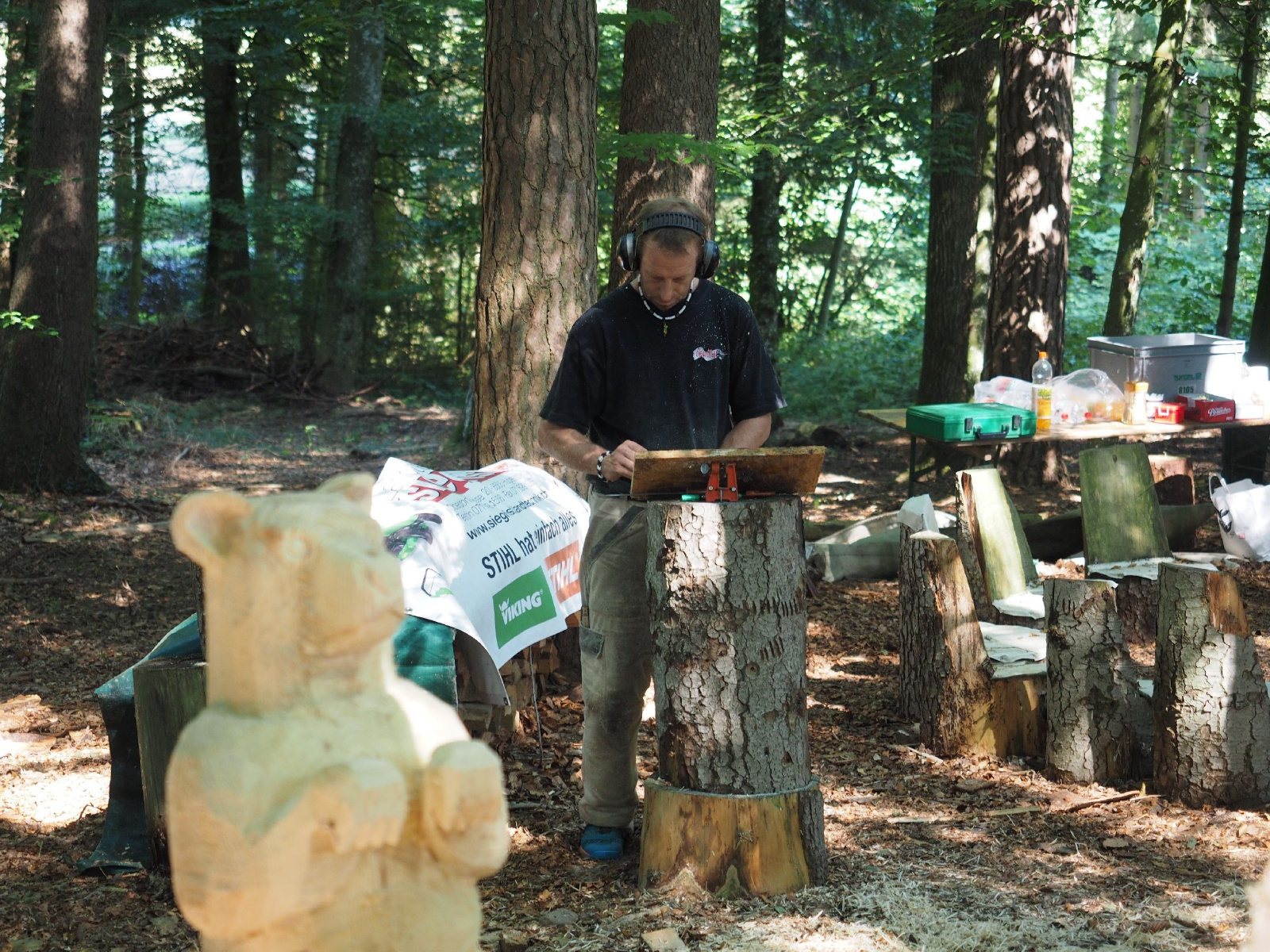 Sitzender baer 80 20160911 1644460932