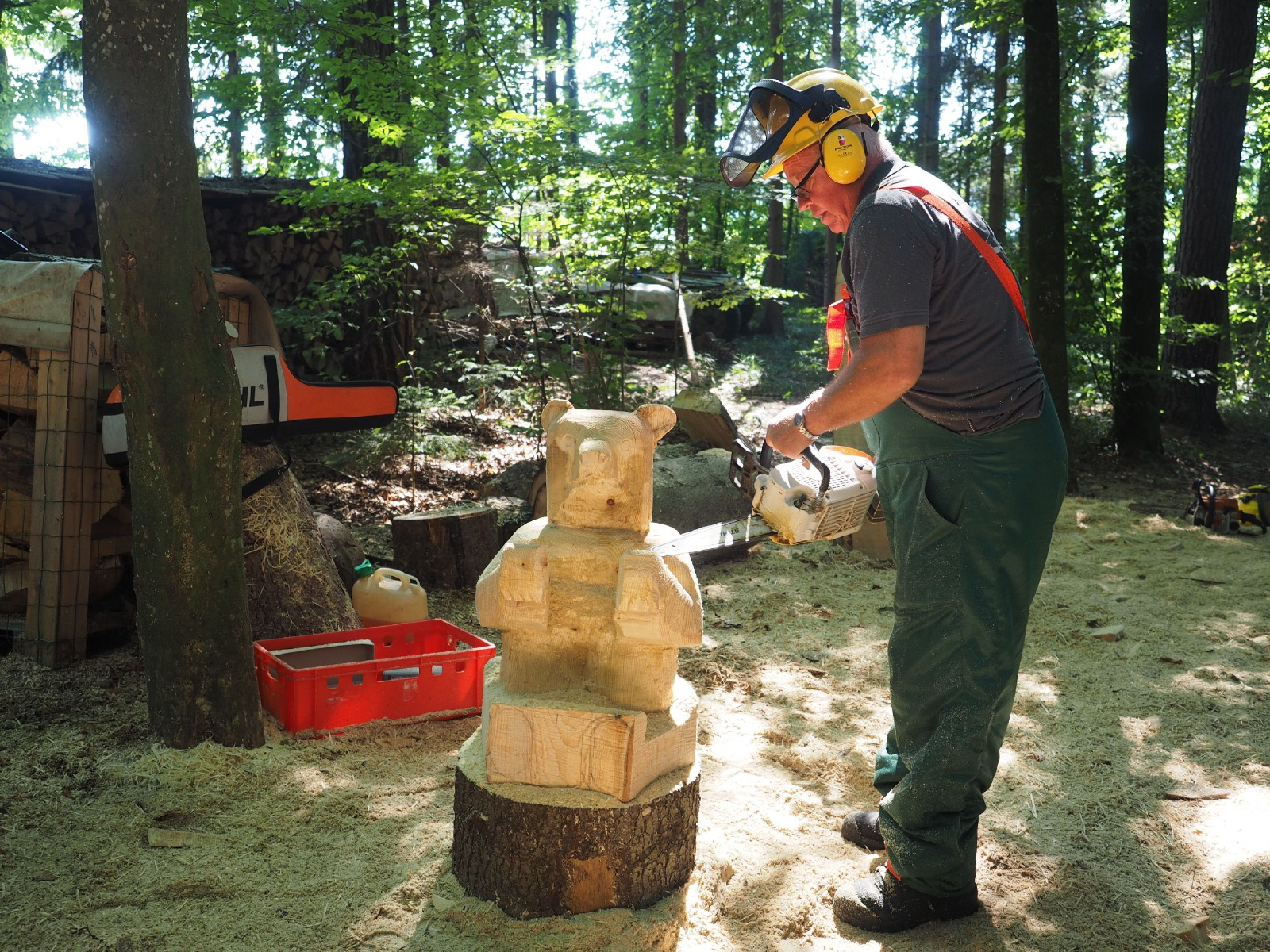 Sitzender baer 81 20160911 1117225872