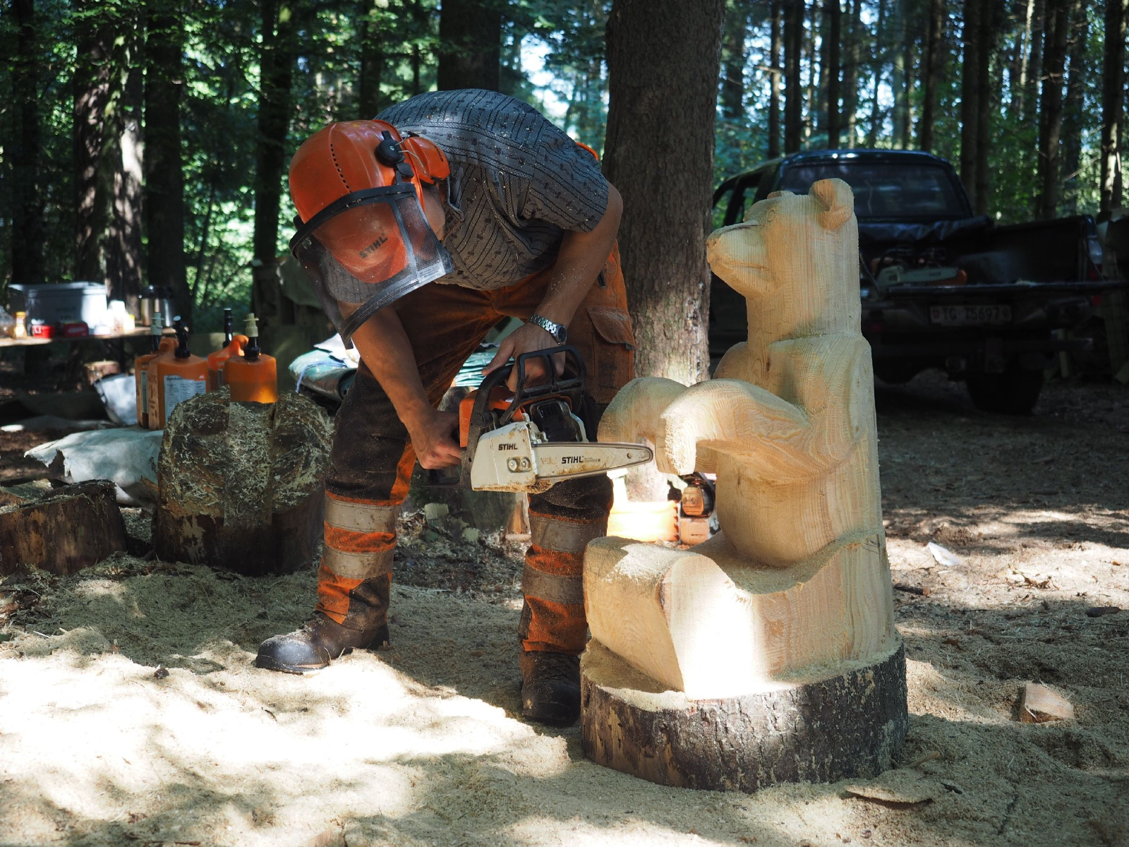 Sitzender baer 83 20160911 1278992926