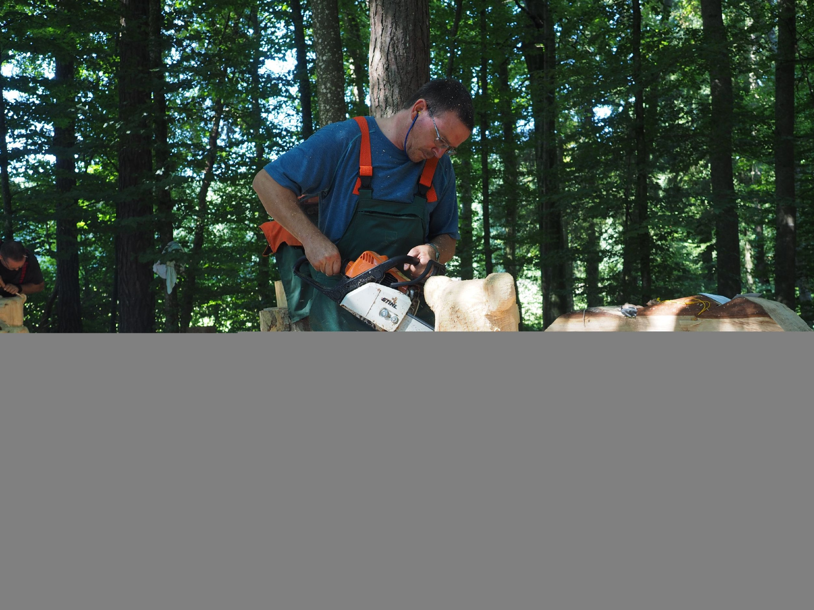 Sitzender baer 84 20160911 1483528255