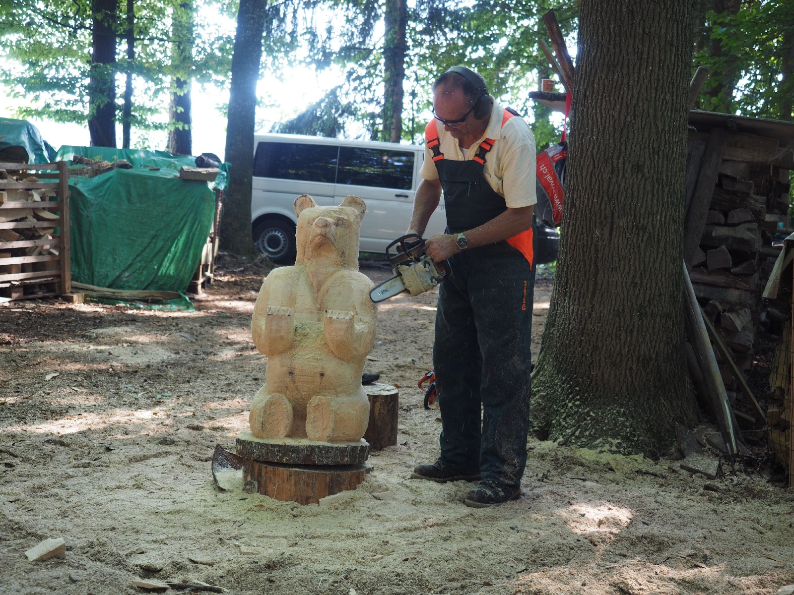 Sitzender baer 8 20160911 1264098283