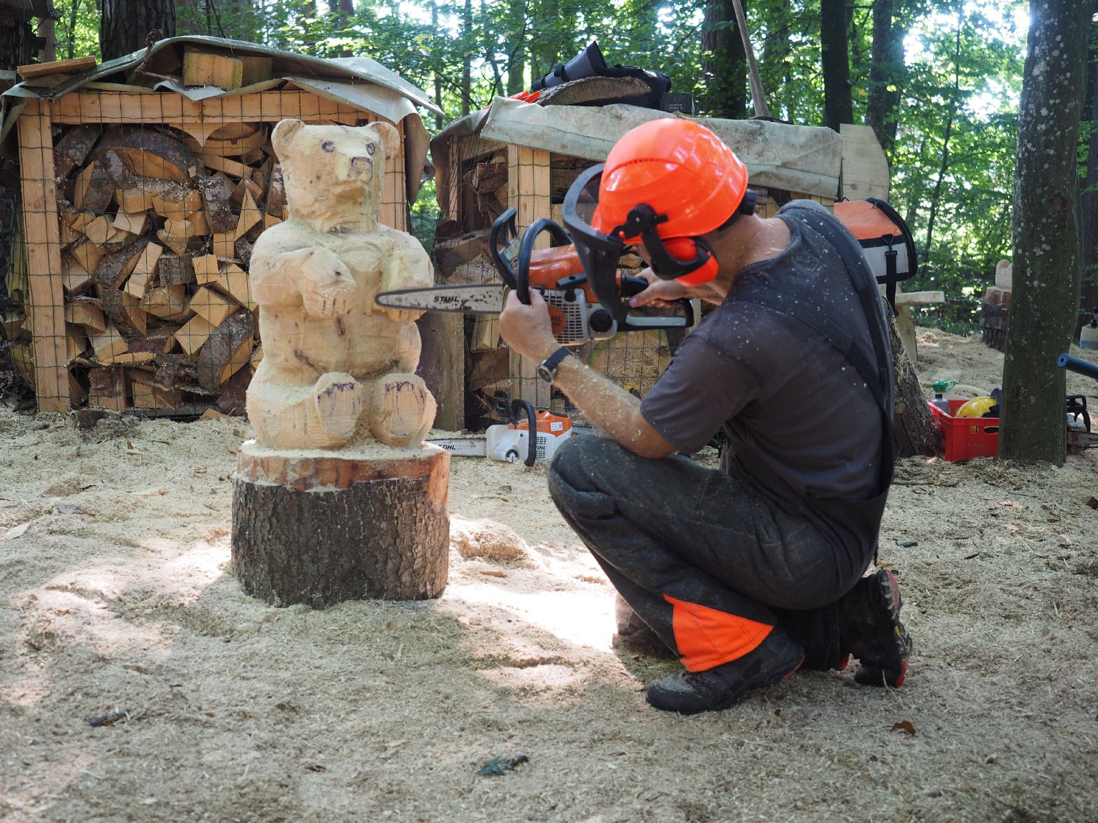 Sitzender baer 9 20160911 1036285831