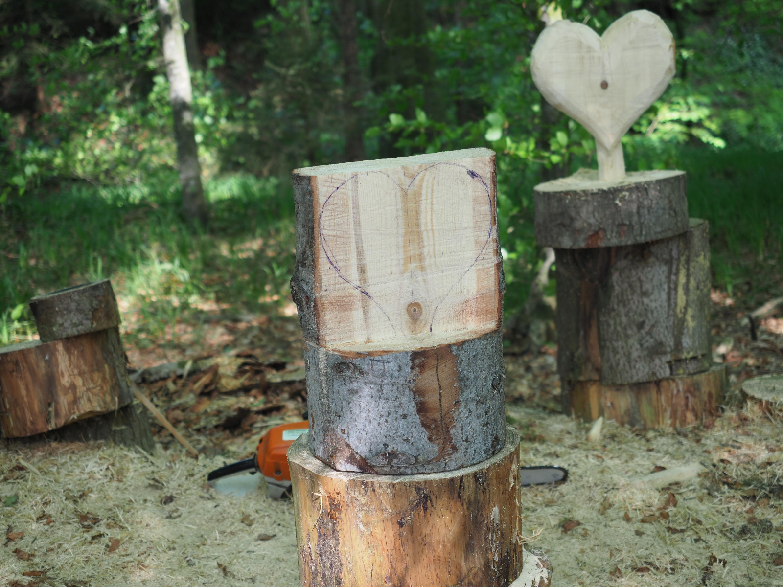 Team emmenegger 12 20180505 1198301383