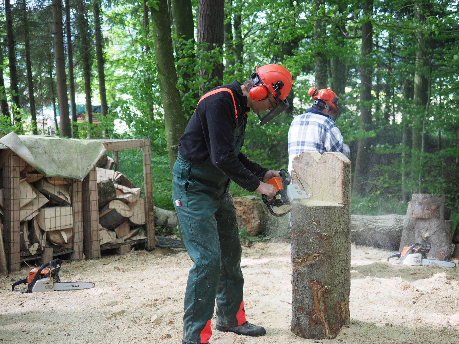 Team emmenegger 17 20180505 1224462600