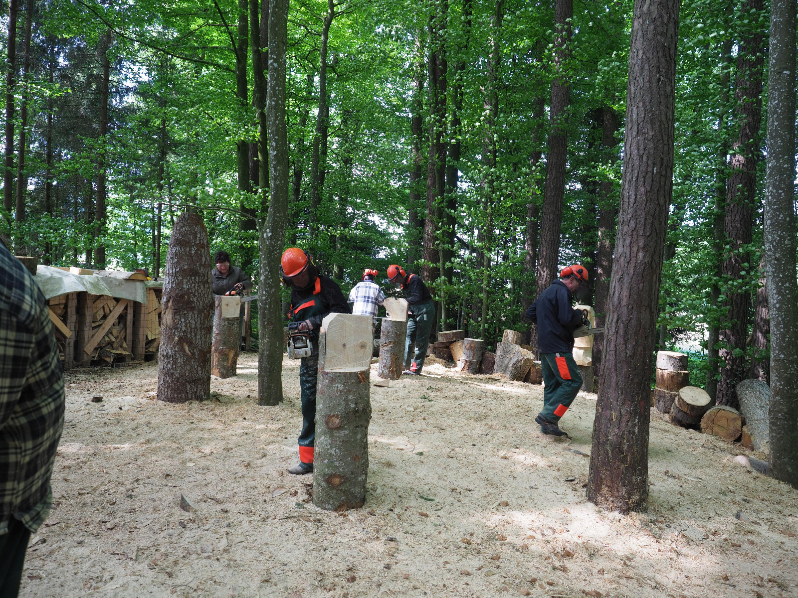 Team emmenegger 22 20180505 1324994114