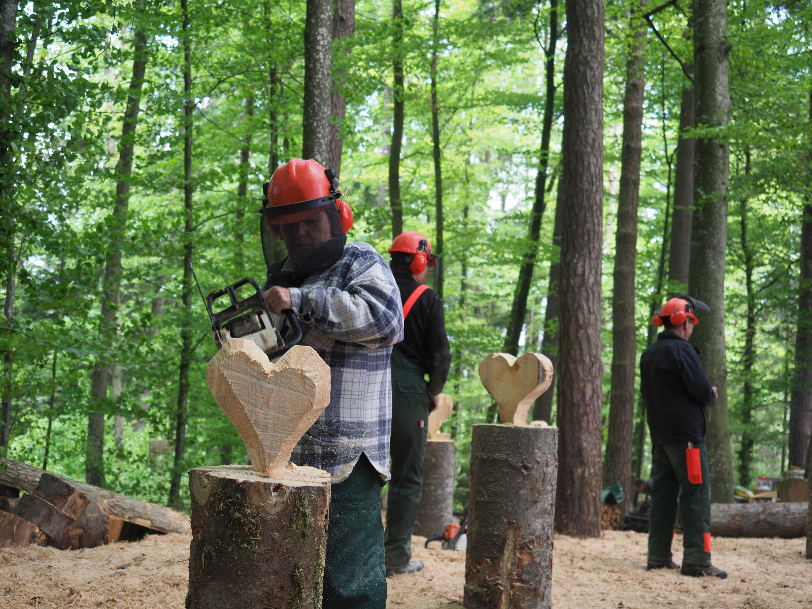 Team emmenegger 29 20180505 1489340162