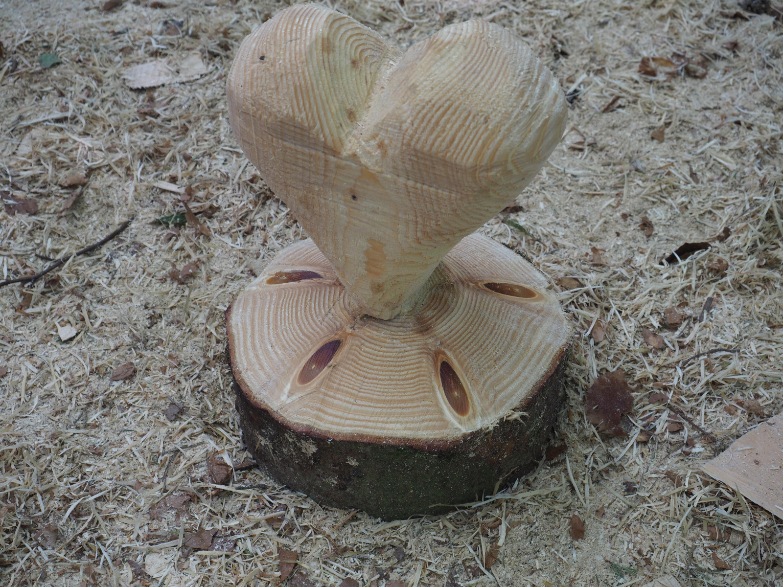 Team emmenegger 43 20180505 1527606917