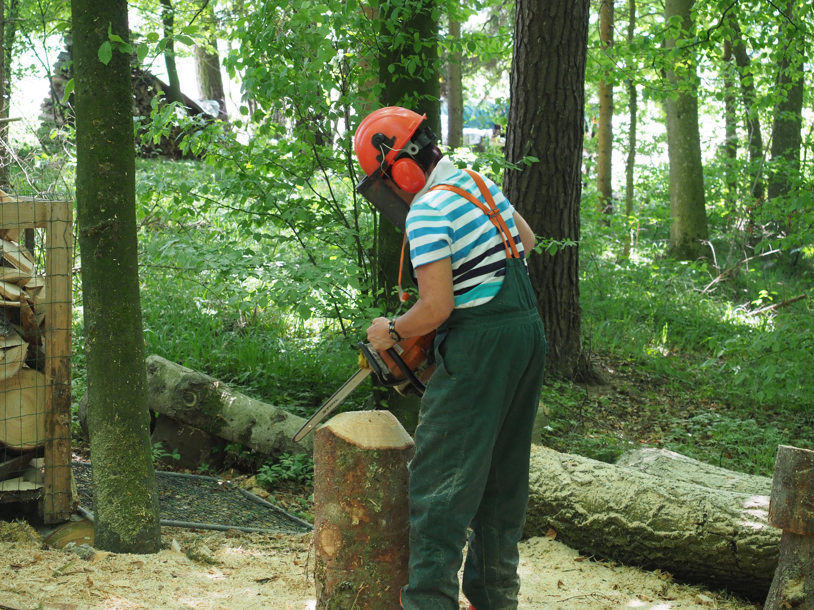 Team emmenegger 46 20180505 1018126784