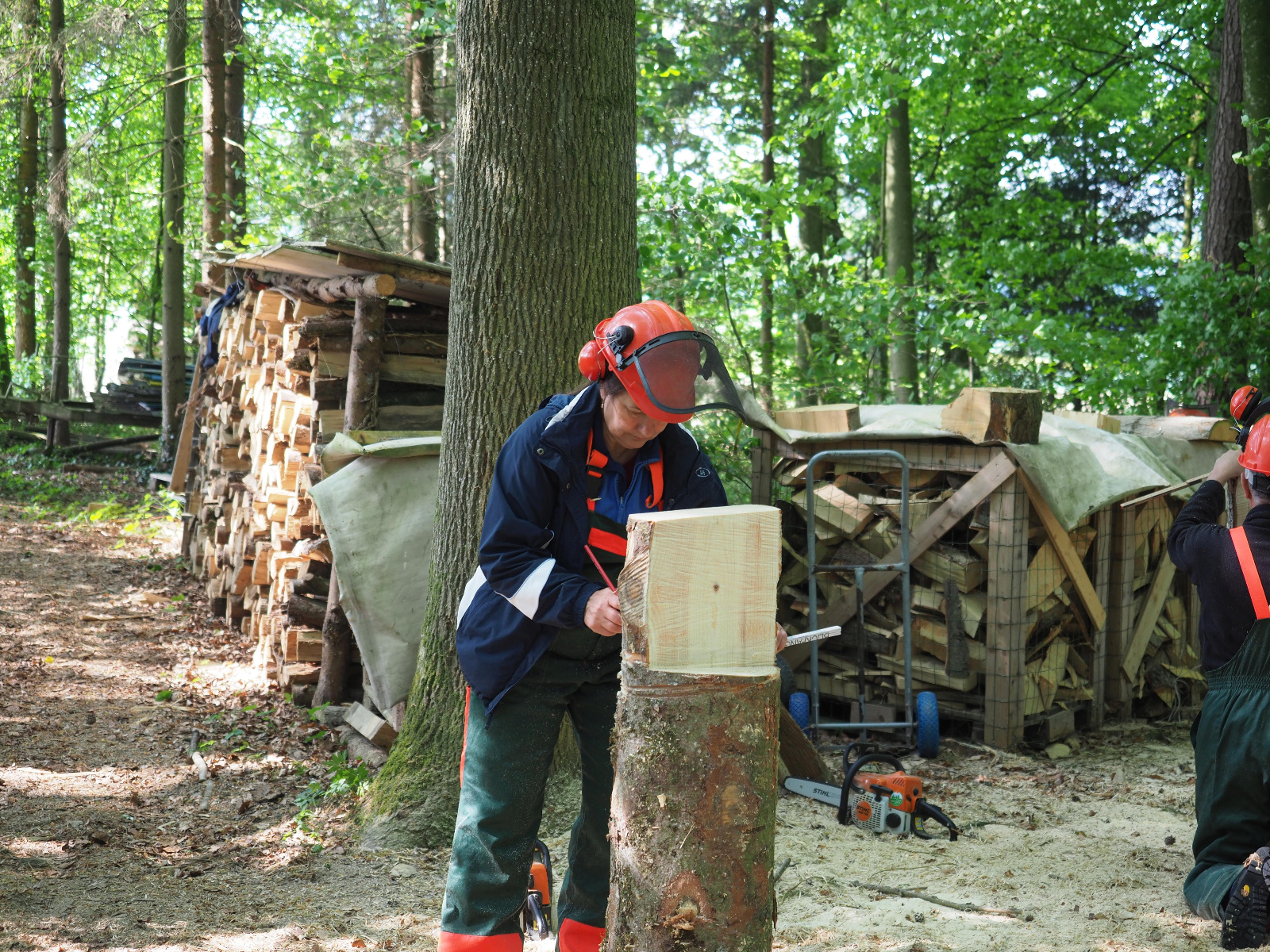 Team emmenegger 4 20180505 1421861570