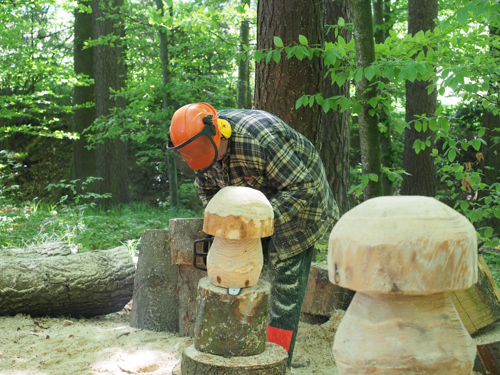 Team emmenegger 56 20180505 1921779336