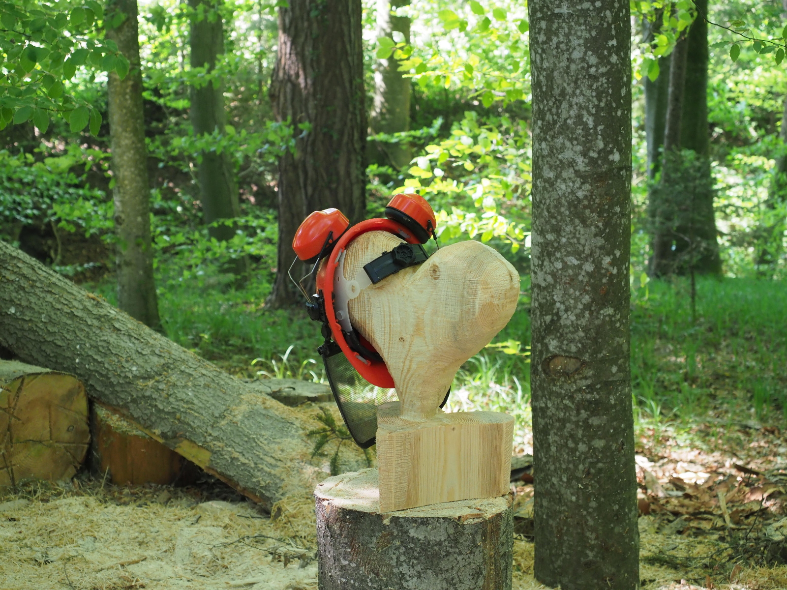 Team emmenegger 58 20180505 1037688101