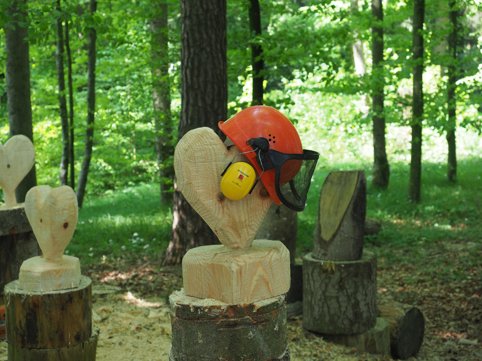 Team emmenegger 59 20180505 1082102661