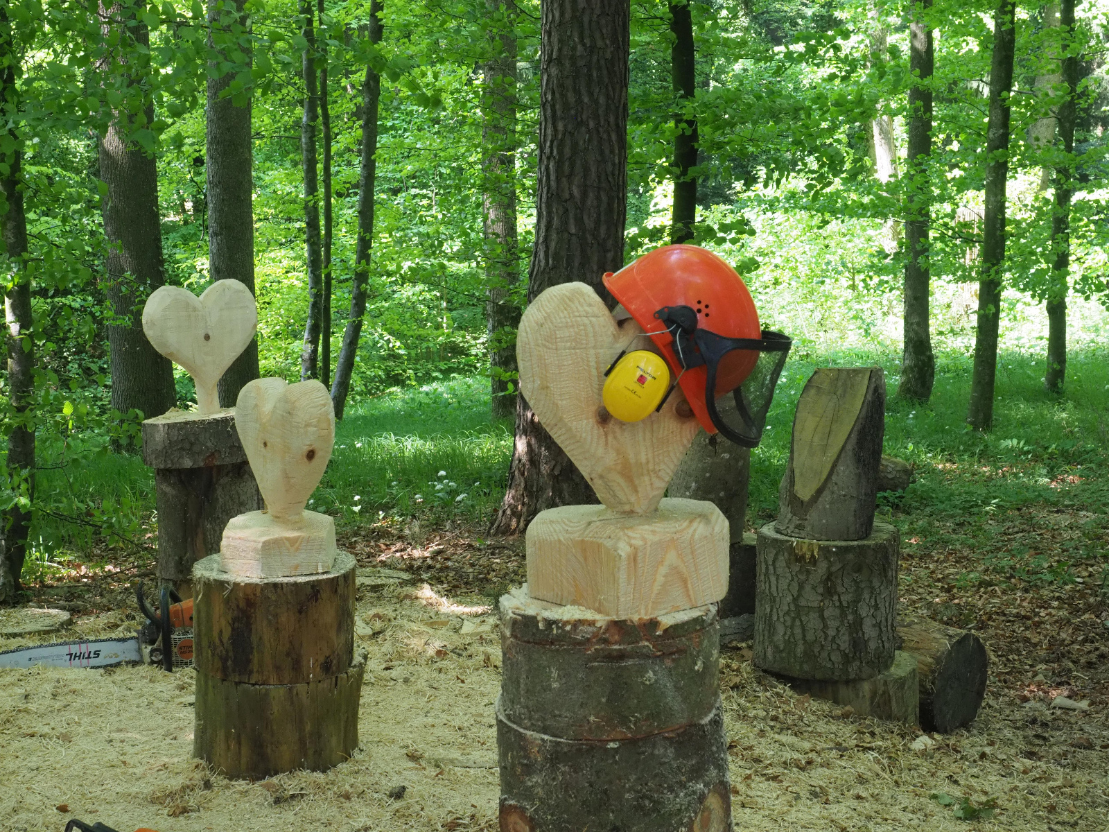 Team emmenegger 60 20180505 1097272945