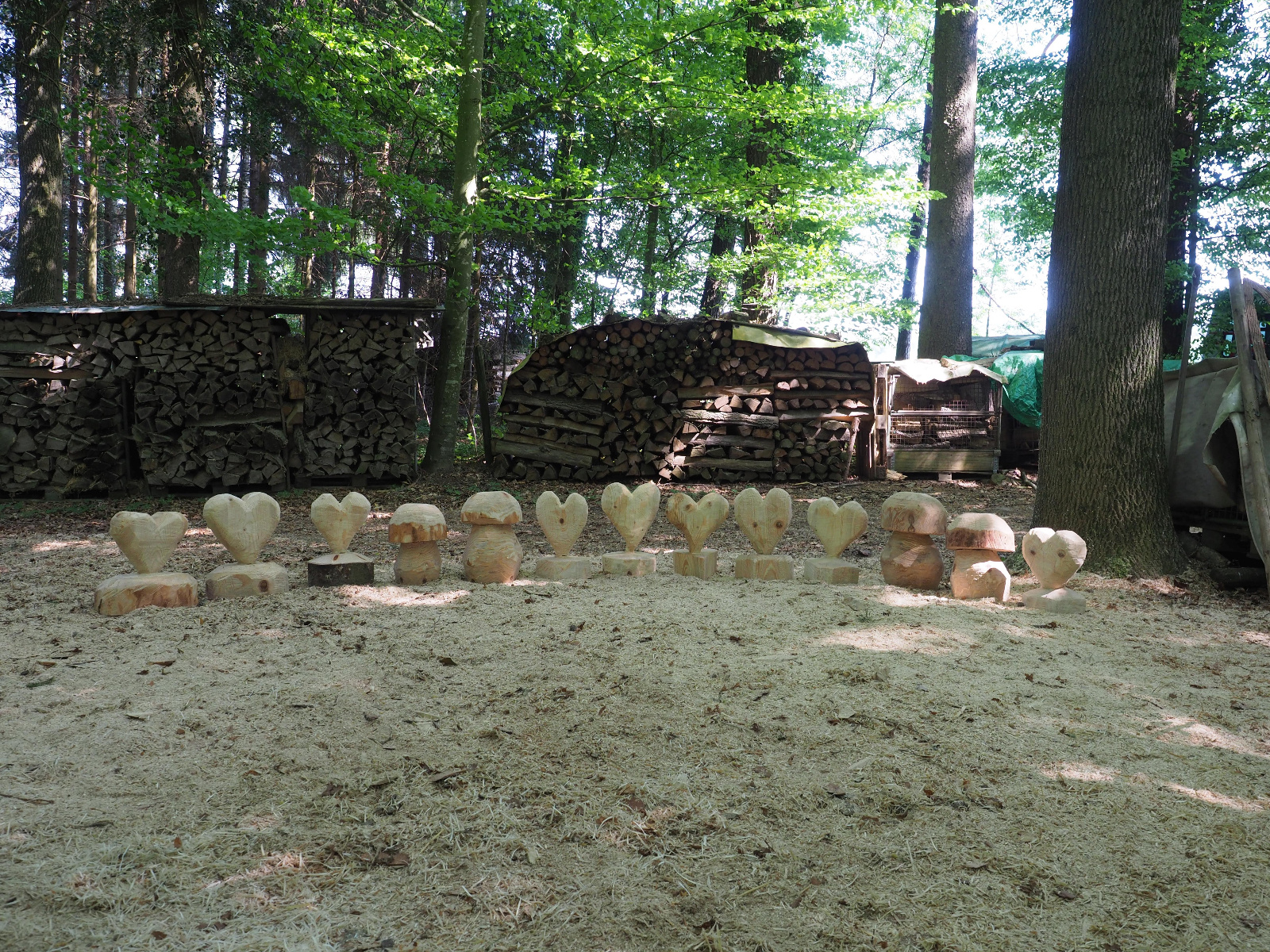 Team emmenegger 62 20180505 2072189719