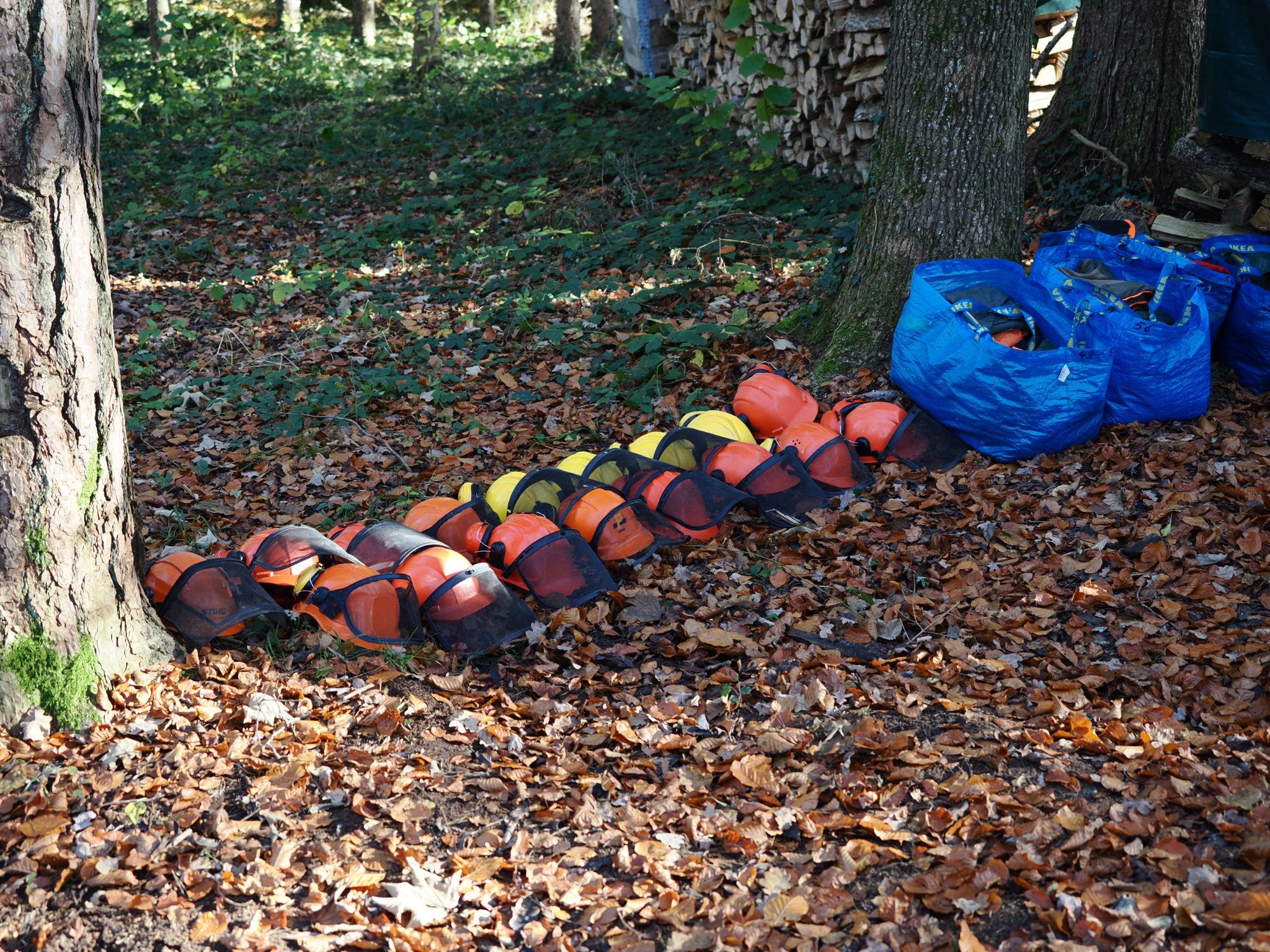 Teamevent vom 15.11.2024