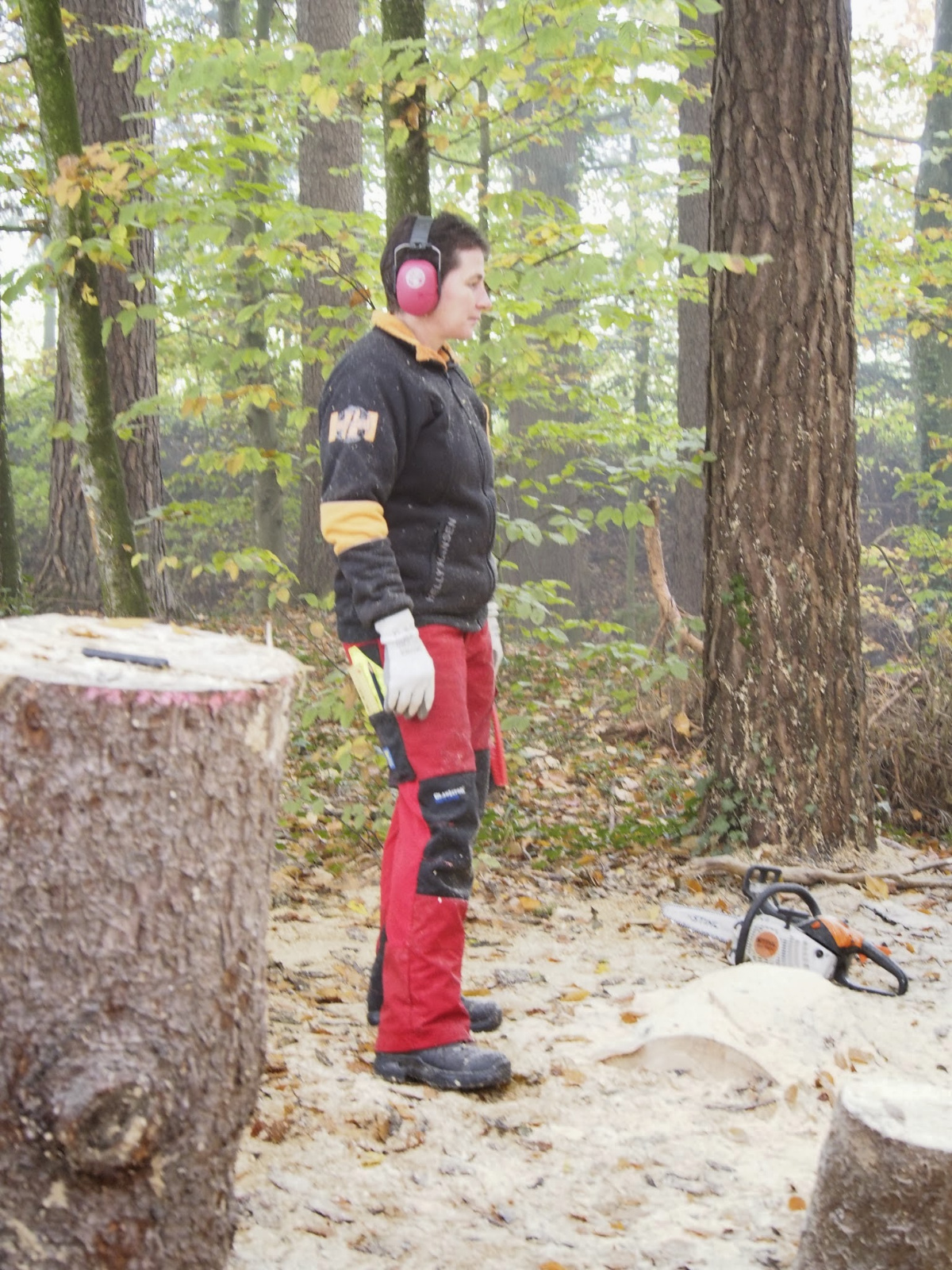 Workshop 18 20160912 1705240273