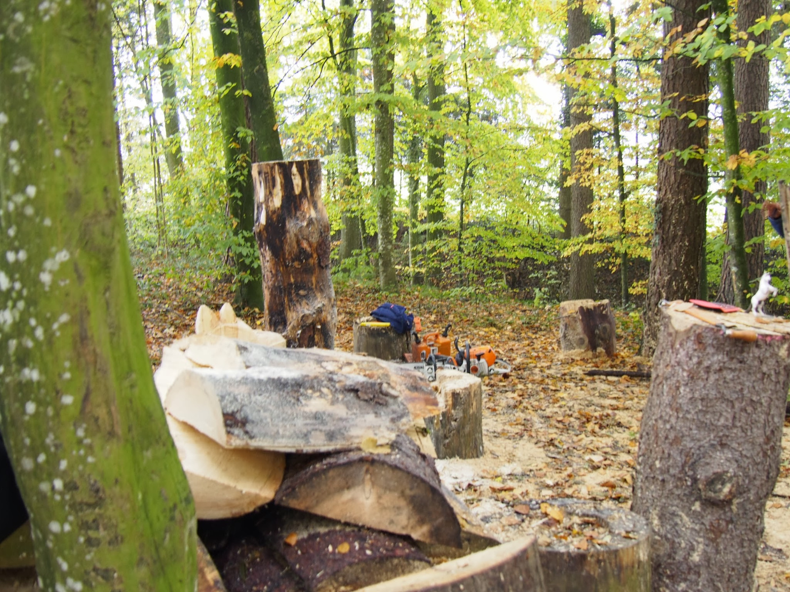 Workshop 43 20160912 2093363318