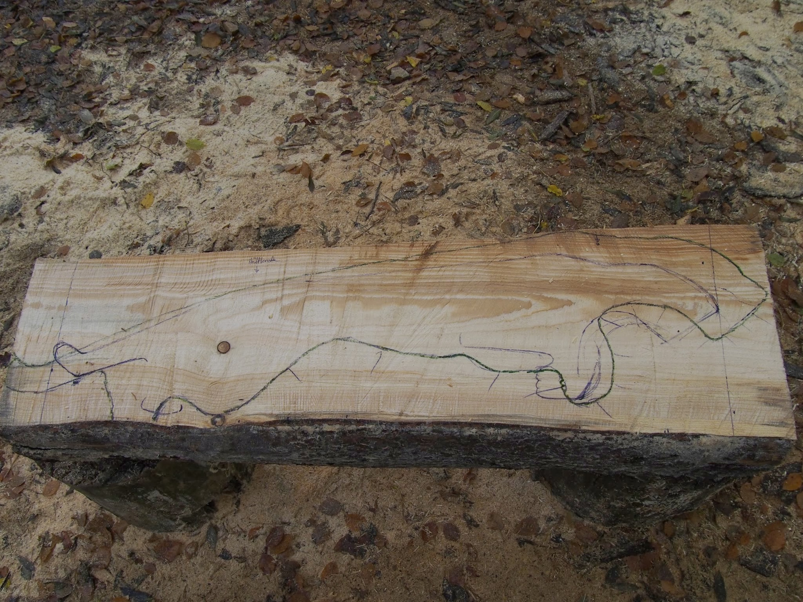 Workshop 47 20160912 1466753837